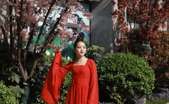 付晓田被抓了吗最新消息